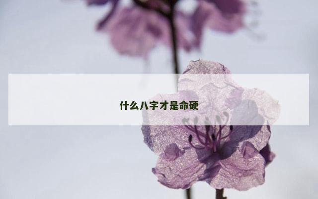 什么八字才是命硬