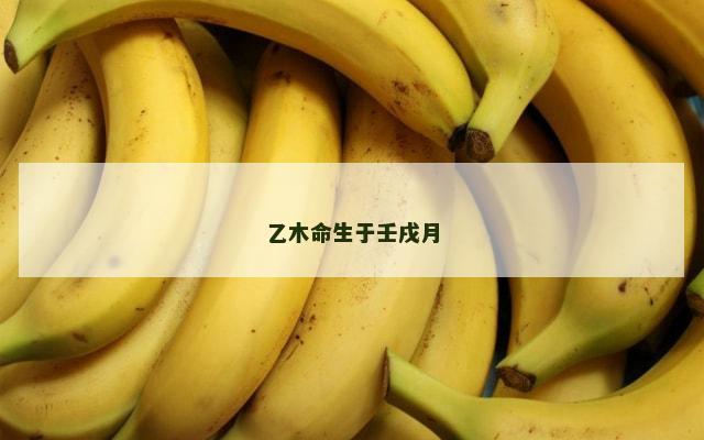 乙木命生于壬戌月