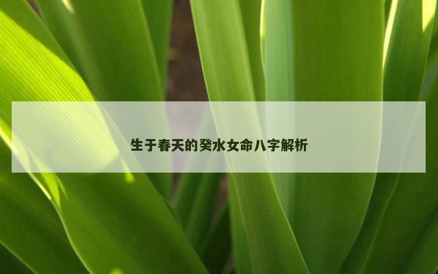 生于春天的癸水女命八字解析