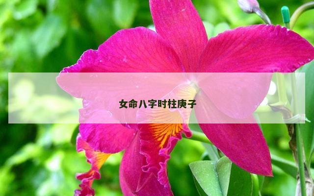 女命八字时柱庚子