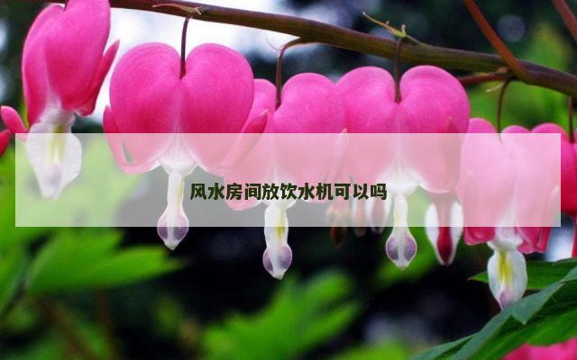 风水房间放饮水机可以吗