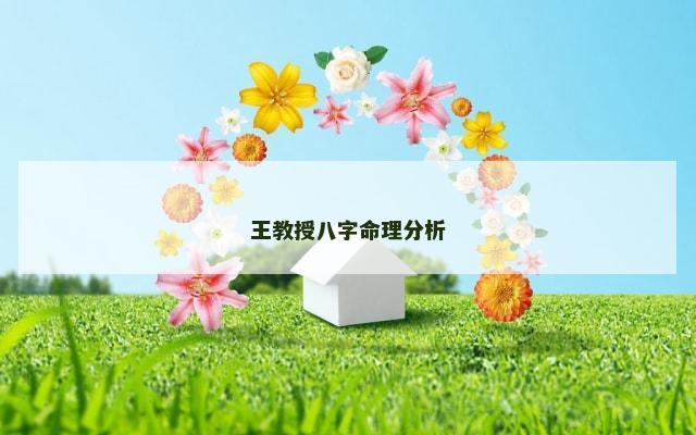 王教授八字命理分析