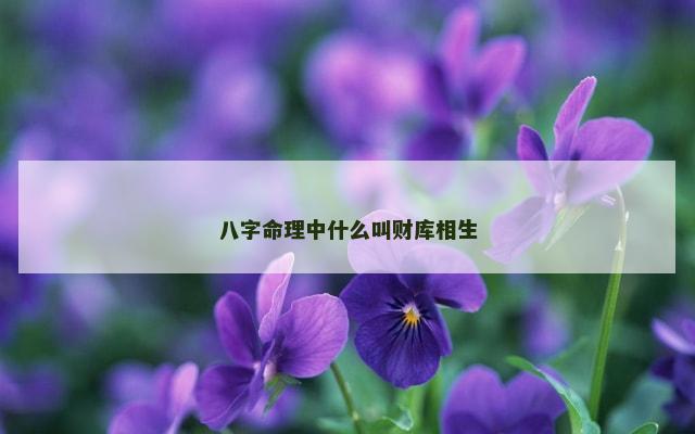 八字命理中什么叫财库相生