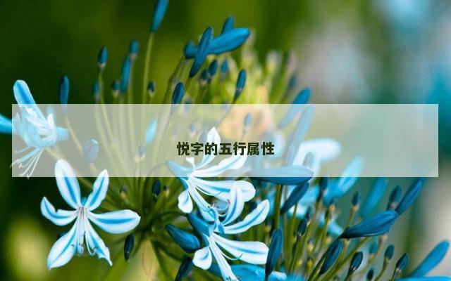 悦字的五行属性
