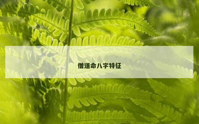 僧道命八字特征