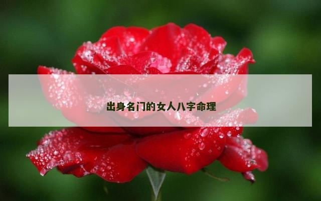 出身名门的女人八字命理