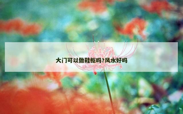 大门可以做鞋柜吗?风水好吗