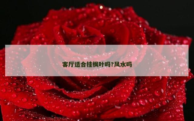 客厅适合挂枫叶吗?风水吗