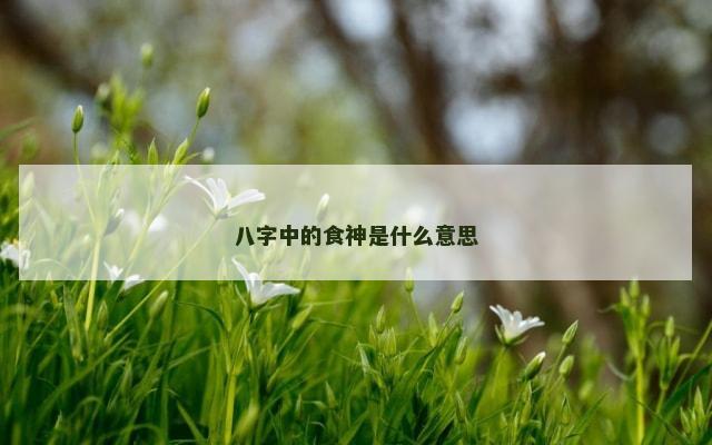 八字中的食神是什么意思
