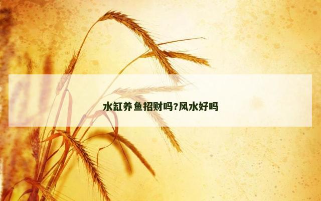 水缸养鱼招财吗?风水好吗