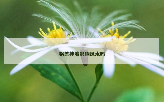 锅盖挂着影响风水吗