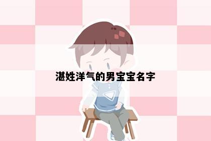 湛姓洋气的男宝宝名字