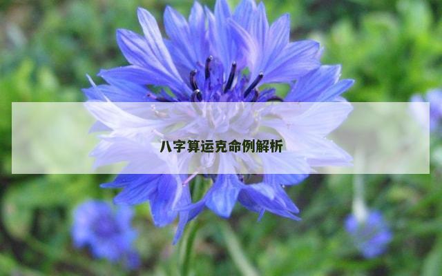 八字算运克命例解析