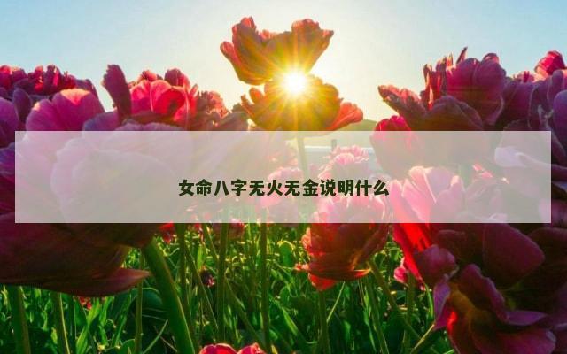 女命八字无火无金说明什么
