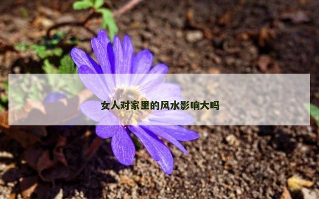 女人对家里的风水影响大吗