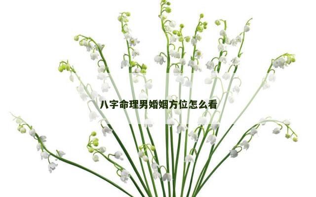 八字命理男婚姻方位怎么看