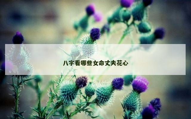 八字看哪些女命丈夫花心