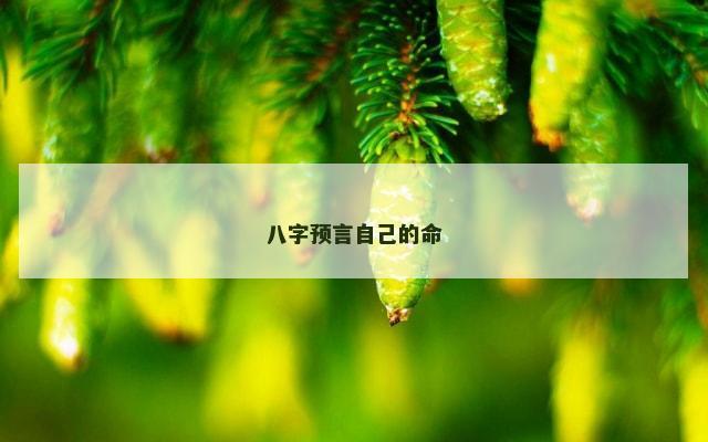 八字预言自己的命