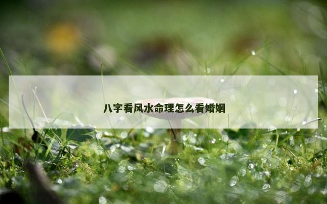 八字看风水命理怎么看婚姻