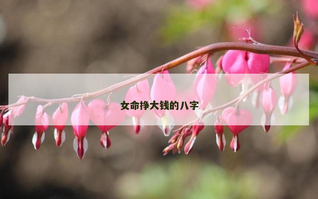 女命挣大钱的八字