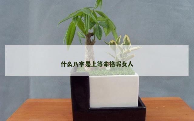 什么八字是上等命格呢女人