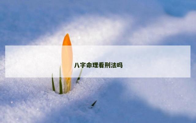 八字命理看刑法吗