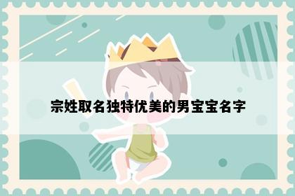 宗姓取名独特优美的男宝宝名字