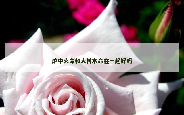 炉中火命和大林木命在一起好吗