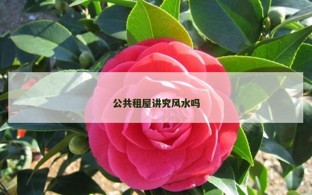 公共租屋讲究风水吗