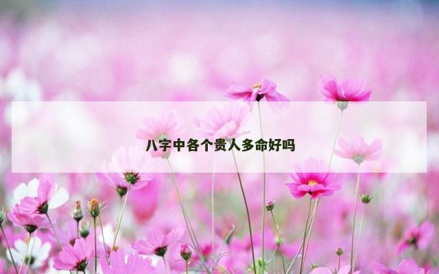 八字中各个贵人多命好吗