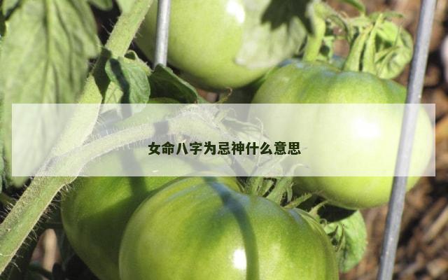 女命八字为忌神什么意思