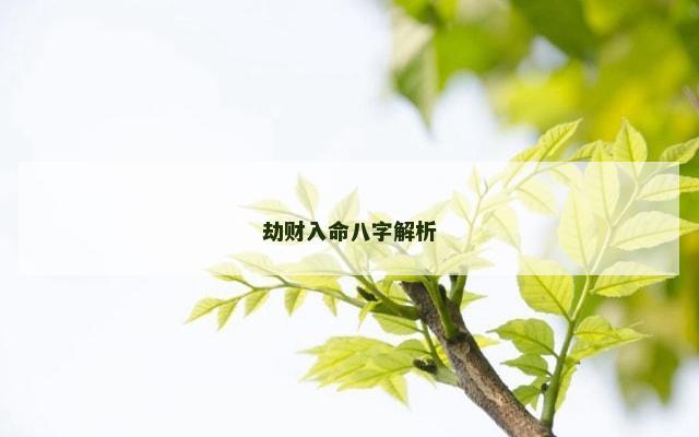 劫财入命八字解析