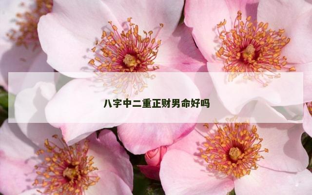 八字中二重正财男命好吗