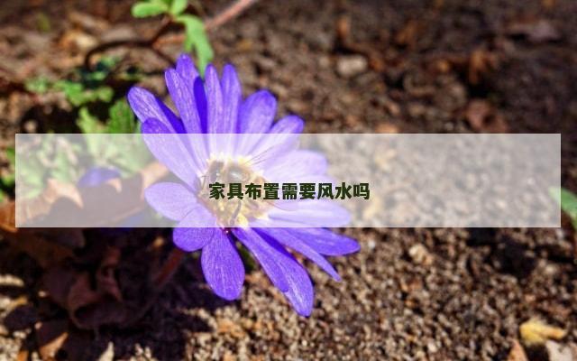 家具布置需要风水吗