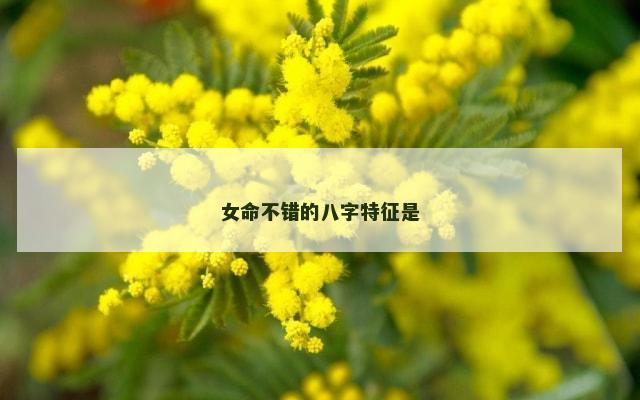 女命不错的八字特征是