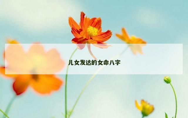 儿女发达的女命八字