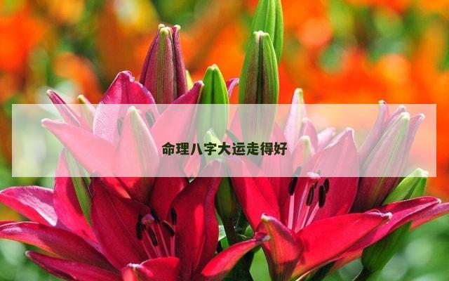命理八字大运走得好