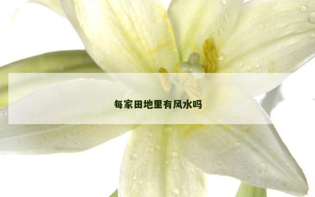 每家田地里有风水吗