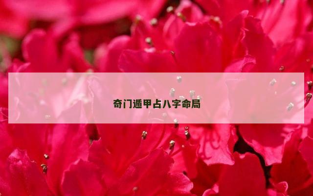 奇门遁甲占八字命局