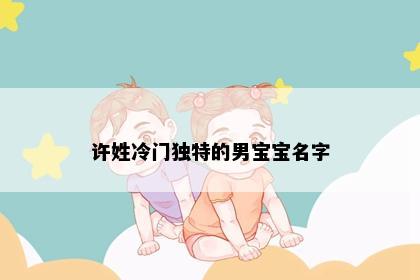 许姓冷门独特的男宝宝名字