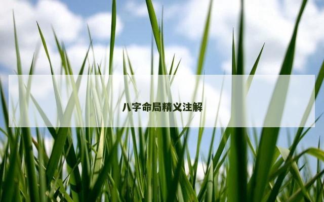 八字命局精义注解