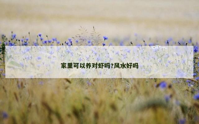 家里可以养对虾吗?风水好吗