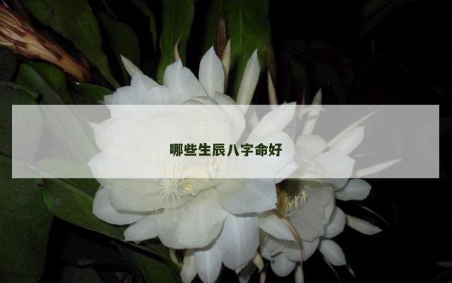 哪些生辰八字命好