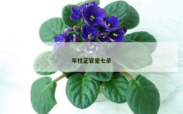 年柱正官坐七杀