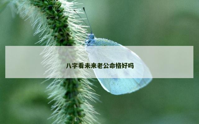 八字看未来老公命格好吗