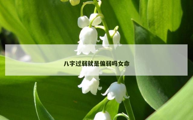八字过弱就是偏弱吗女命