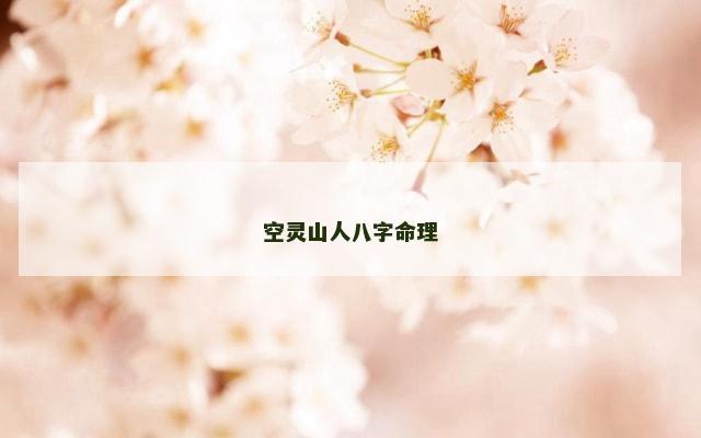 空灵山人八字命理