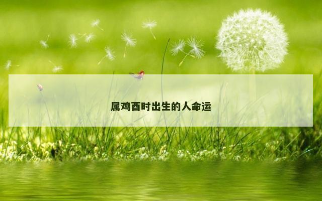 属鸡酉时出生的人命运