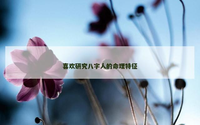 喜欢研究八字人的命理特征