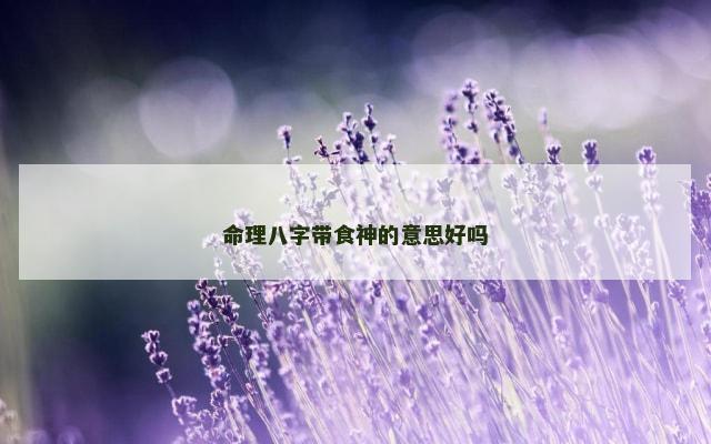 命理八字带食神的意思好吗